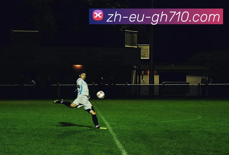 公海710官网平台生态图