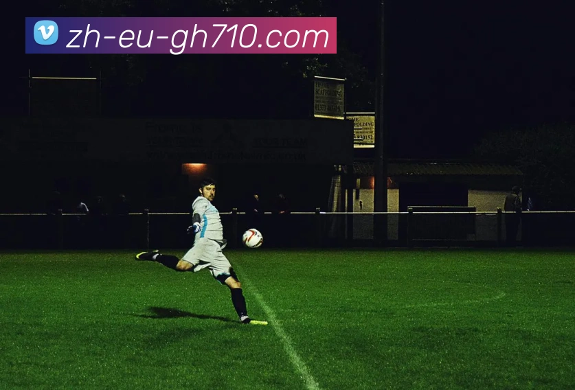 公海710官网全站App